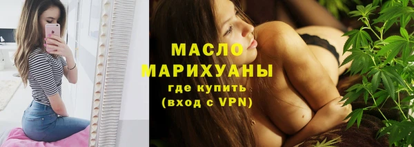 индика Наволоки