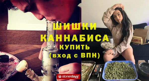 индика Наволоки