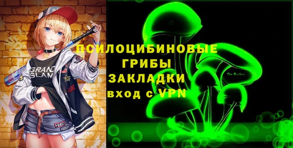 индика Наволоки
