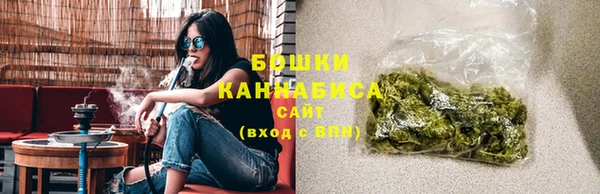индика Наволоки