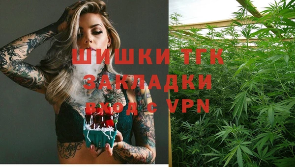 индика Наволоки
